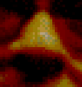 Picture of my huge nose.